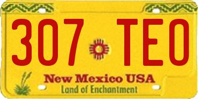 NM license plate 307TEO