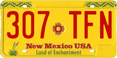 NM license plate 307TFN