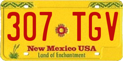 NM license plate 307TGV