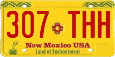 NM license plate 307THH