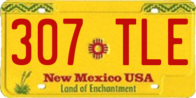 NM license plate 307TLE