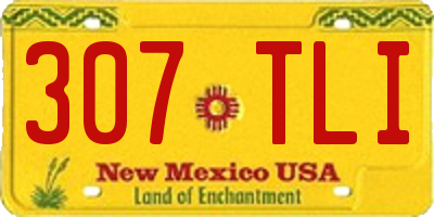 NM license plate 307TLI