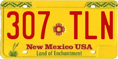 NM license plate 307TLN