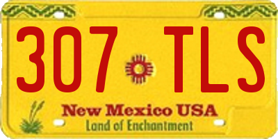 NM license plate 307TLS