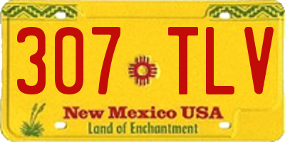 NM license plate 307TLV