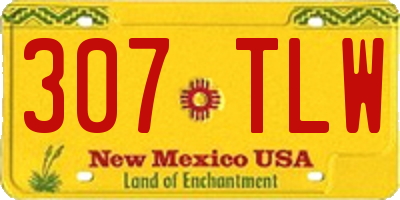 NM license plate 307TLW
