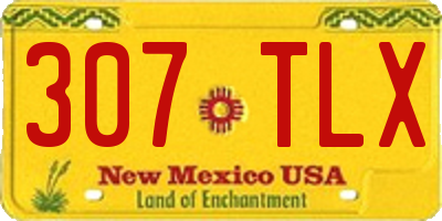 NM license plate 307TLX