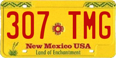 NM license plate 307TMG
