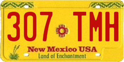 NM license plate 307TMH
