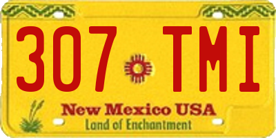 NM license plate 307TMI