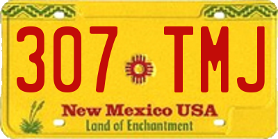 NM license plate 307TMJ