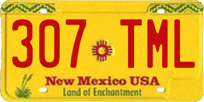 NM license plate 307TML