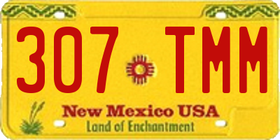 NM license plate 307TMM