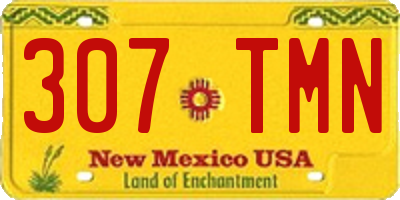 NM license plate 307TMN