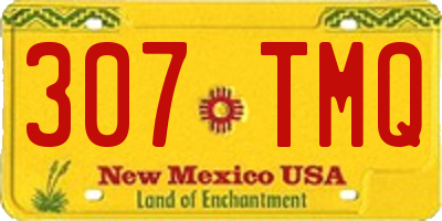 NM license plate 307TMQ