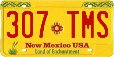 NM license plate 307TMS