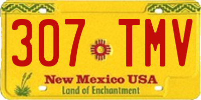 NM license plate 307TMV