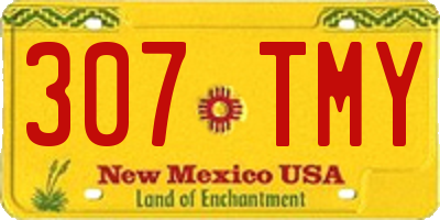 NM license plate 307TMY