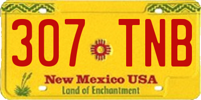 NM license plate 307TNB