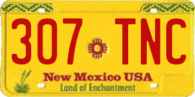 NM license plate 307TNC