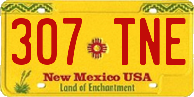 NM license plate 307TNE