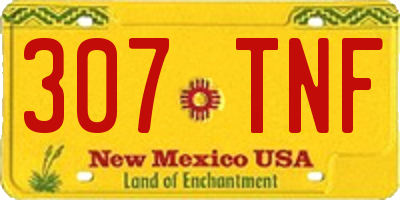 NM license plate 307TNF