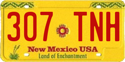 NM license plate 307TNH