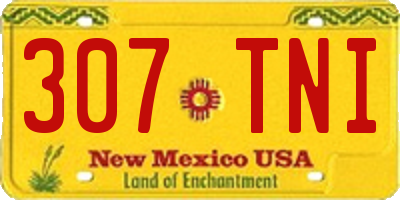 NM license plate 307TNI