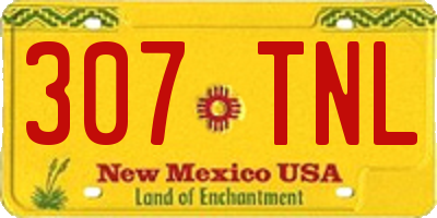 NM license plate 307TNL