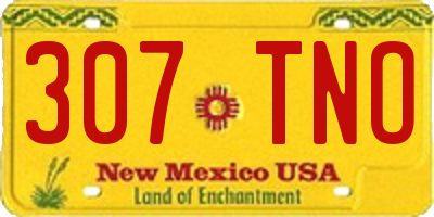 NM license plate 307TNO