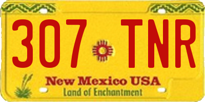 NM license plate 307TNR