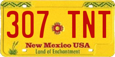 NM license plate 307TNT