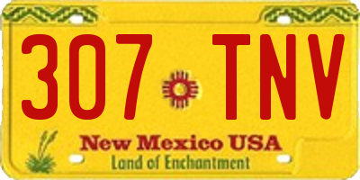 NM license plate 307TNV