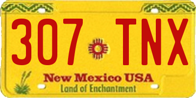 NM license plate 307TNX