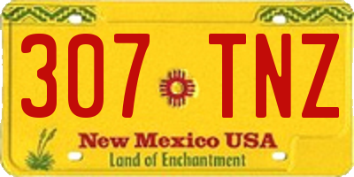 NM license plate 307TNZ