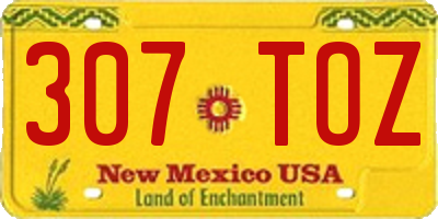 NM license plate 307TOZ
