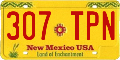NM license plate 307TPN