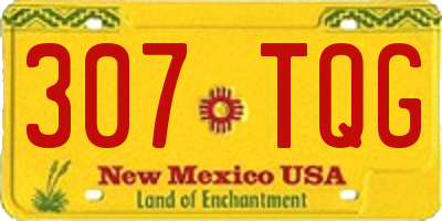 NM license plate 307TQG