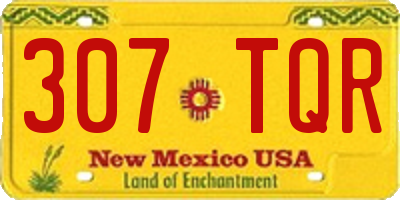 NM license plate 307TQR