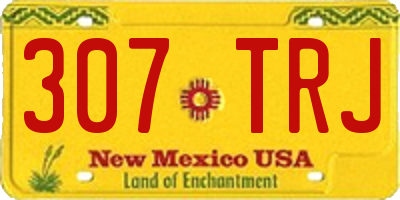 NM license plate 307TRJ
