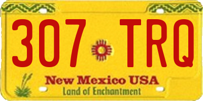 NM license plate 307TRQ