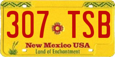 NM license plate 307TSB