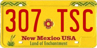 NM license plate 307TSC