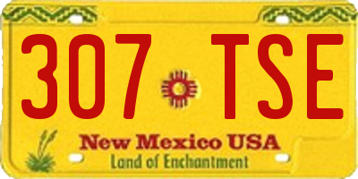 NM license plate 307TSE