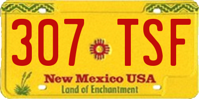 NM license plate 307TSF