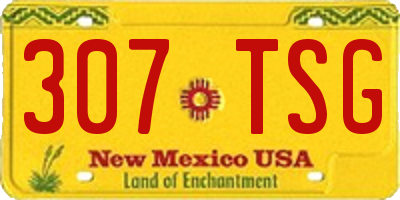 NM license plate 307TSG