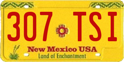NM license plate 307TSI