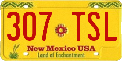 NM license plate 307TSL