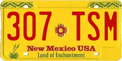 NM license plate 307TSM