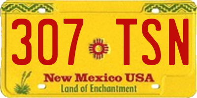 NM license plate 307TSN